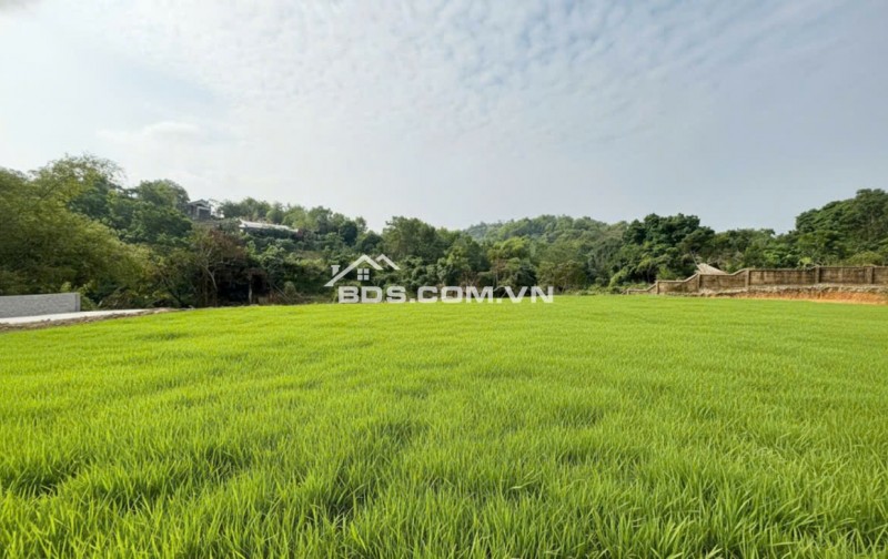 CẦN BÁN GẤP LÔ ĐẤT NGHỈ DƯỠNG CỰC ĐẸP - GẦN LEGACY HILL